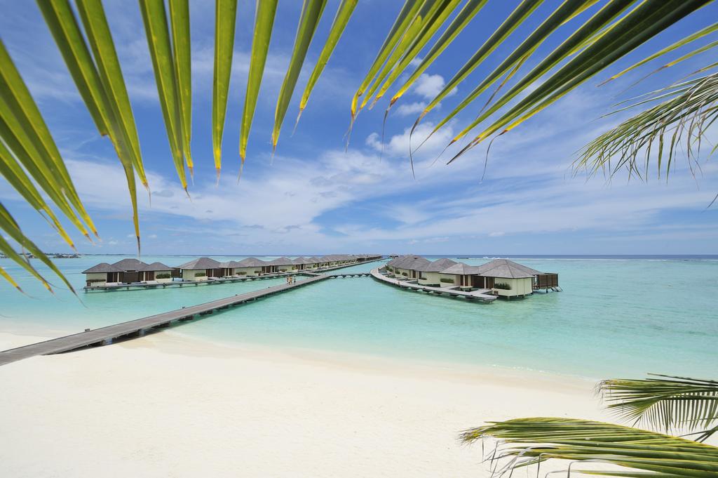 offerta maldive paradise island